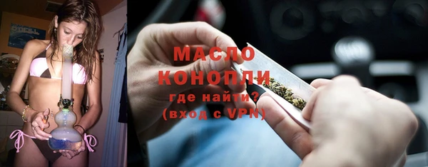 индика Богородицк