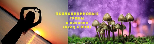 Альфа ПВП Белая Холуница