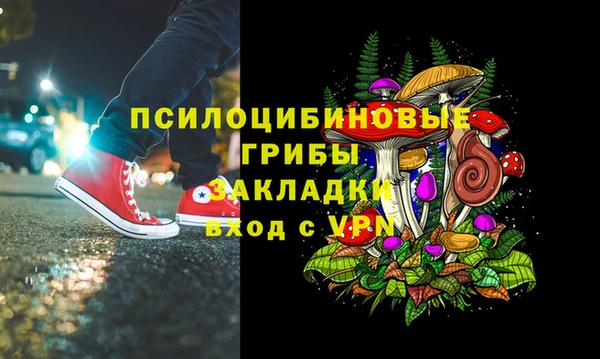 индика Богородицк