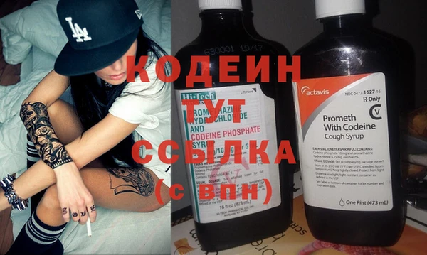 индика Богородицк
