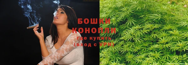 индика Богородицк