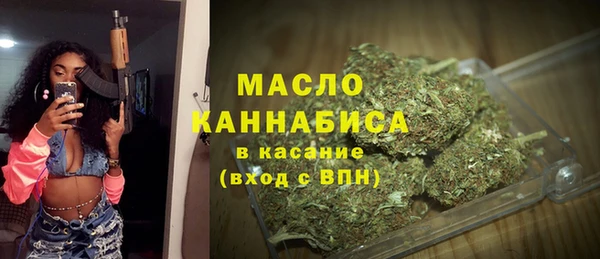 индика Богородицк